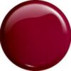 GEL POLISH COLOR NO. 160 HEAT CLARET