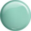 GEL POLISH COLOR NO. 196 MINT CANDY