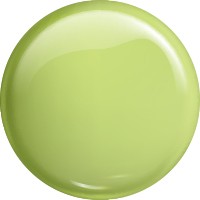 GEL POLISH COLOR NO. 220 LIME JUICE