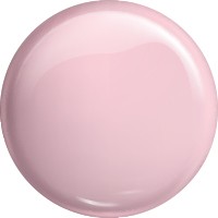 Pure Creamy Hybrid No. 148 Pink Astromeria